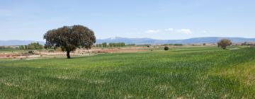 Ξενοδοχεία σε Muro de Alcoy