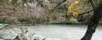 Hoteles familiares en Elati Zagori