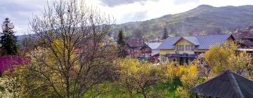 Pet-Friendly Hotels in Slănic