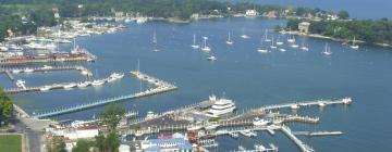 Pet-Friendly Hotels in Put-in-Bay