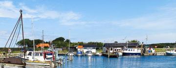 Cottages in Harpelunde