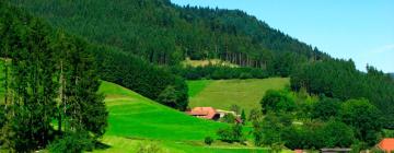 Hotel di Bad Liebenzell