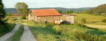 Hoteles en Waldkirch