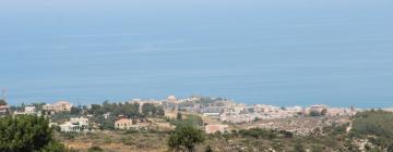 Holiday Rentals in Mikro Metochi