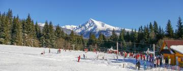 Ski Resorts in Vysoke Tatry - Podbanske