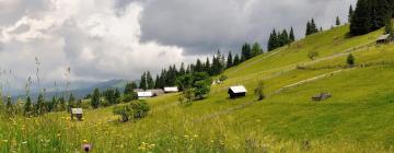 Allotjaments d'esquí a Poiana Negrii