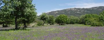 Alquileres vacacionales en La Pobla de Montornès