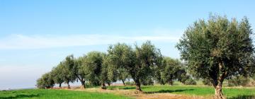 Alquileres temporarios en Laundos