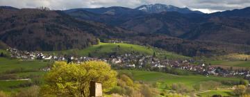 Hotéis em Oberwolfach