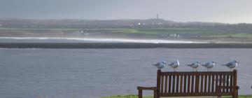 Hoteles que aceptan mascotas en Tynemouth