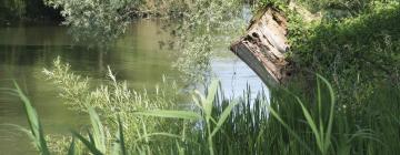 Отели с парковкой в городе Фаренцхаузен