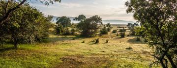 Vacaciones baratas en Aitong