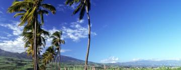 Hotels in Étang-Salé les Bains