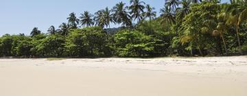 Cottages in Barra Grande