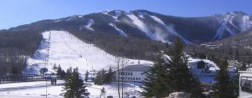 Hotels with Parking in Stratton Mountain