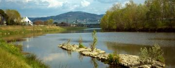 Ferienunterkünfte in Montelupo Fiorentino