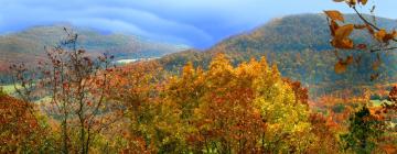 Hoteli s parkiralištem u gradu 'Mountain View'