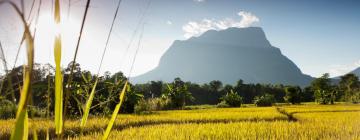 Hôtels à Doi Saket