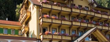 Hoteles con estacionamiento en Breitnau
