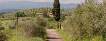 Pet-Friendly Hotels in San Donnino