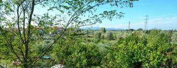 Holiday Rentals in Cenaia