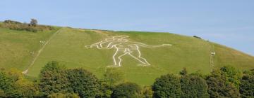 Kotedžai mieste Cerne Abbas