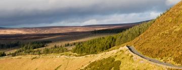 Khách sạn ở Wicklow