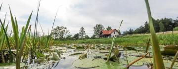 Hotels with Parking in Łazy