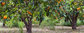 Hotel con parcheggio a Kibbutz Inbar