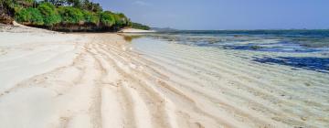 Beach rentals in Tiwi