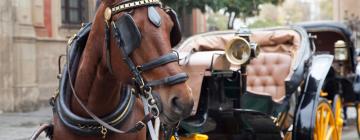 Hoteles con parking en Camas