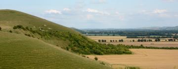 Lavprishoteller i Pewsey