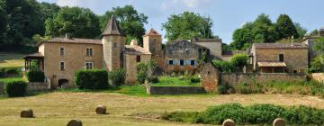 Cottages in Lacapelle-Biron