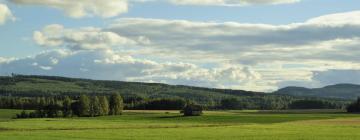 Casas y chalets en Långshyttan