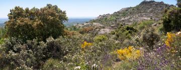 Alquileres temporarios en El Berrueco