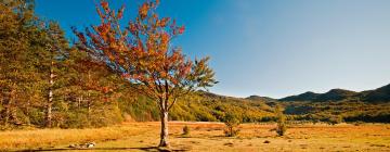 Hoteles familiares en Ferriere