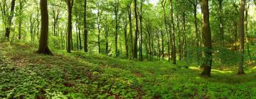 Parkolóval rendelkező hotelek Höhnben