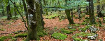 Auberges de jeunesse à Zamudio