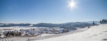 Holiday Rentals in Wies