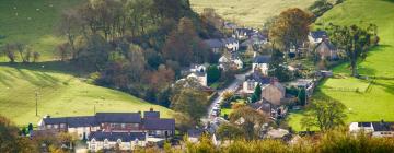 Cottages in Llanarmon