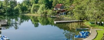 Holiday Rentals in Olsztyn - Siła