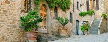 Hotels in Castellina in Chianti