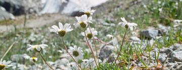 Strutture sulle piste v a Puy-Saint-Pierre