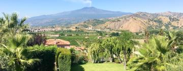 Holiday Rentals in Trappitello