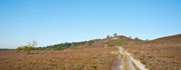 Ferieboliger i Randbøl