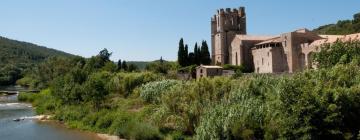 Casas y chalets en Ribaute