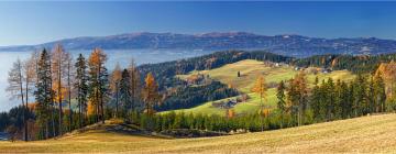 Hotely s parkováním v destinaci Kamp