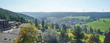 Hôtels avec parking à Obertal