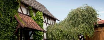 Cheap hotels in Gonterskirchen