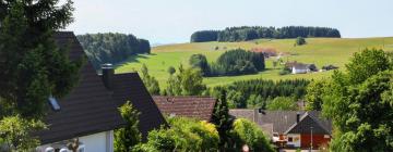 Apartments in Mühle